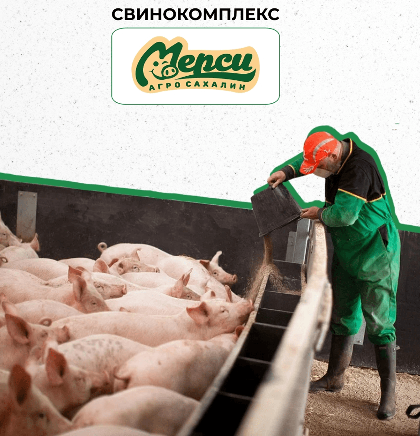 Мерси Агро Сахалин — обложка кейса